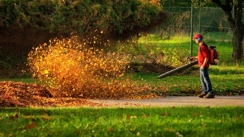 Top Rated Leaf Blowing Products