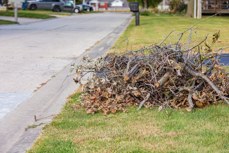 Brush Cleaning Service in Honolulu, HI
