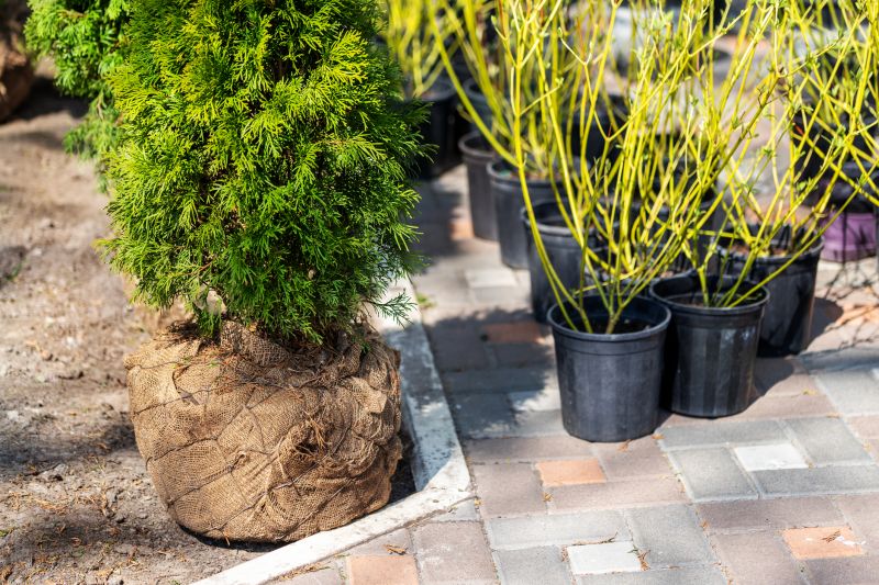 Bush Installation in Ventura County, CA