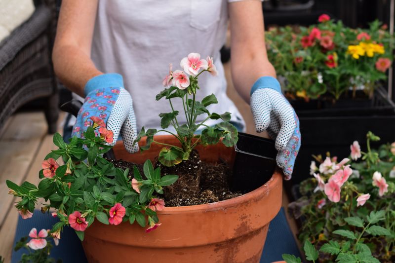 Flower Planting Service in Honolulu, HI