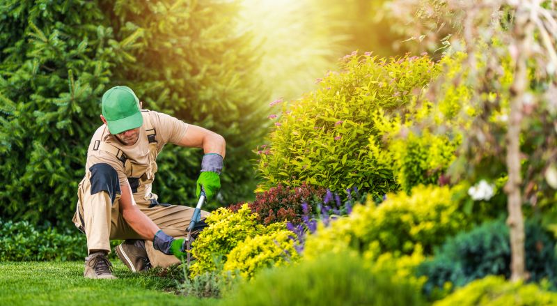 Garden Cleanup Service in Ventura County, CA