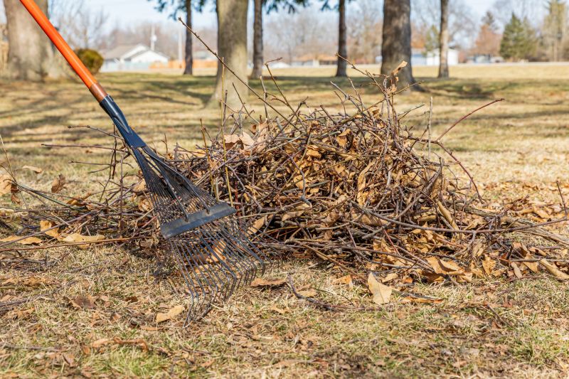 Limbs Removal in Ventura County, CA