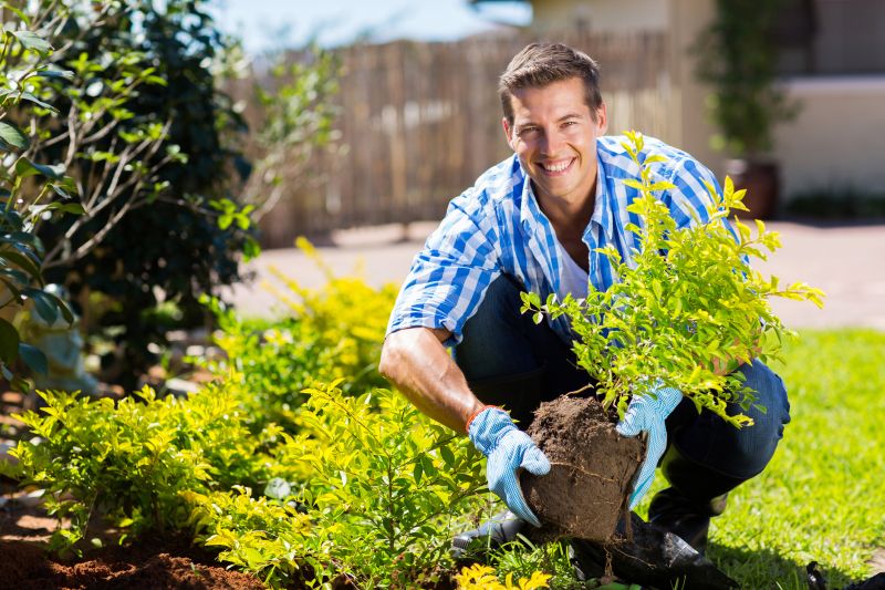Perennials Planting in Ventura County, CA