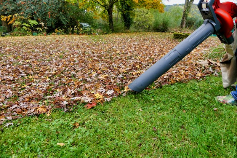 Products For Leaf Blowings in use