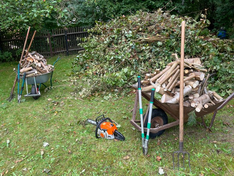Tree Limb Cleanup in Ventura County, CA
