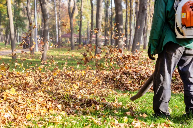 Leaf blowers quickly clear large areas of leaves