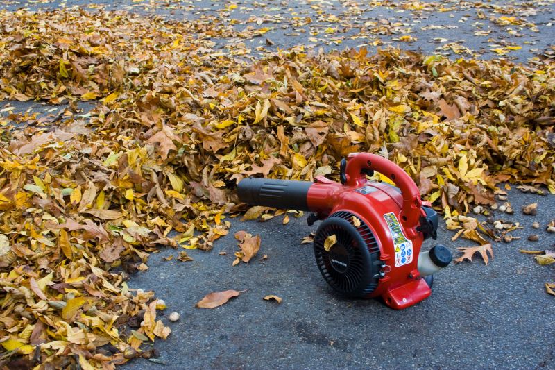 Using a leaf blower is less physically demanding than raking, especially over large areas