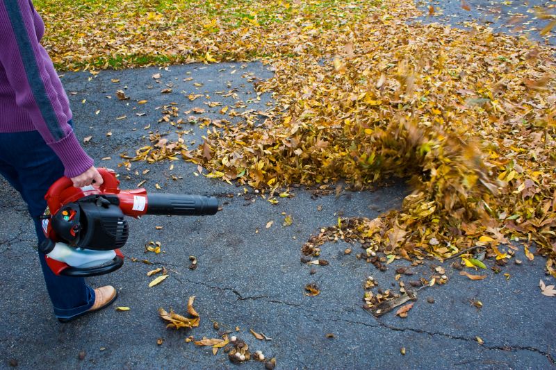 Leaf blowers help you remove not just leaves but also debris, such as twigs, grass clippings, and small branches